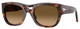Havana / Brown Grad Brown - Polar