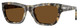 Brown Tortoise / Brown Polar