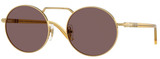Persol Sunglasses PO1019S 112953