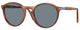 Terra Di Siena / Light Blue