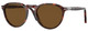Havana / Polar Brown
