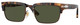 Honey Tortoise / Brown / Green