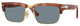 Terra Di Siena / Light Blue