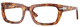 Brown Tortoise / Transitions 8 Green