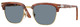 Terra Di Siena / Light Blue