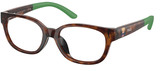 Polo Prep Eyeglasses PP8551U 5003