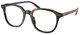 Shiny Dark Havana / Clear