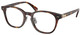 Shiny Brown Tortoise / Clear