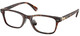 Shiny Brown Tortoise / Clear