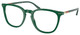 Shiny Green / Clear