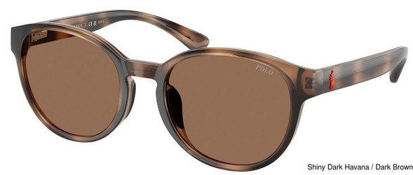 Polo Prep Sunglasses PP9509U 597473
