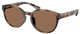 Shiny Dark Havana / Dark Brown