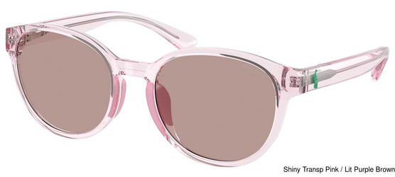 Sunglass Replacement Lenses 113231