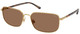 Semishiny Gold / Dark Brown