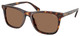 Shiny Brown Tortoise / Dark Brown