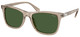 Shiny Transp Dk Taupe / Bottle Green