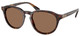 Shiny Brown Tortoise / Dark Brown