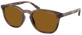 (Polo) Ralph Lauren Sunglasses PH4222U 500383