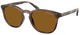 Shiny Dark Havana / Dark Polar Brown