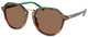 Shiny Red Havana / Dark Brown