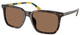 Shiny Dark Havana / Dark Brown