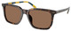 Shiny Dark Havana / Dark Brown