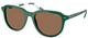 Shiny Dark Green / Dark Brown
