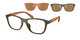 Mt Green Olive / Brown Mirr Bronze