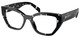 Black Crystal Tortoise / Clear
