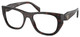 Root Tortoise / Clear