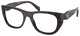 Root Tortoise / Clear