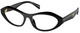Black / Clear