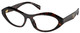Root Tortoise / Clear