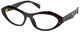 Root Tortoise / Clear
