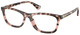 Pink Havana / Clear