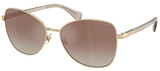 (Ralph) Ralph Lauren Sunglasses RA4147 9116B8