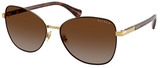(Ralph) Ralph Lauren Sunglasses RA4147 9484T5