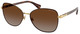 Shiny Brown / Polar Brown Grad