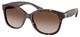 Dark Havana / Gradient Brown