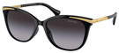 (Ralph) Ralph Lauren Sunglasses RA5309U