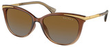 (Ralph) Ralph Lauren Sunglasses RA5309U 6133T5