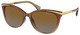 Transp Lt Brown / Polar Grad Brown
