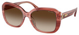 (Ralph) Ralph Lauren Sunglasses RA5321U 620313