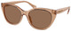 Shiny Transp Brown / Brown