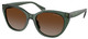 Sh Transp Green / Polar Grad Brown