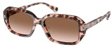 (Ralph) Ralph Lauren Sunglasses RA5325U 605813
