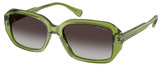 (Ralph) Ralph Lauren Sunglasses RA5325U 62228G