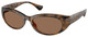 Shiny Dark Havana / Dark Brown