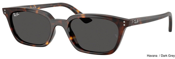 Ray-Ban Sunglasses RB4456 Zaya 135987
