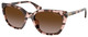Shiny Pink Havana / Brown Gradient